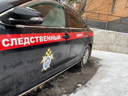 В Богородицком межрайонном следственном отделе завершено расследование уголовного дела в отношении трех несовершеннолетних фигурантов